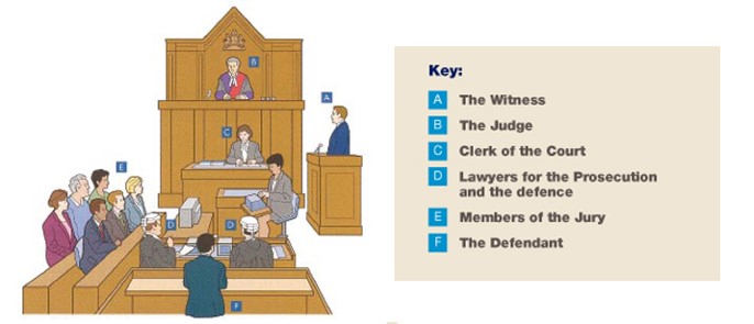 Court Layout