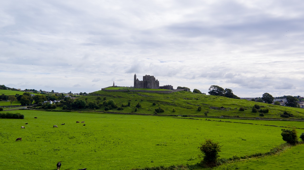 The role of Natural England