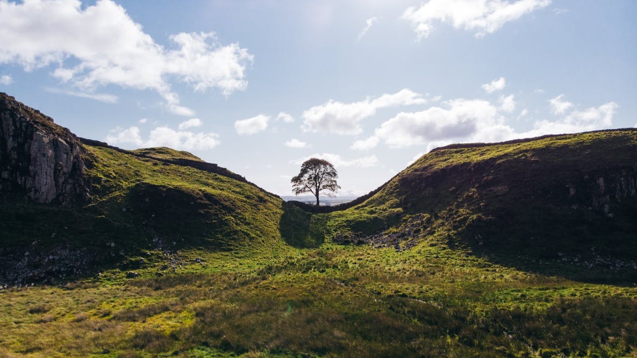 Sycamore Gap – case in court Sycamore Gap - case in court