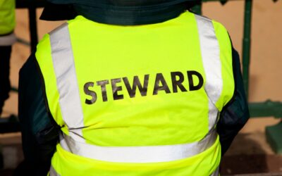Two Brothers Receive 3 Year Banning Orders For Pretending to be Stewards