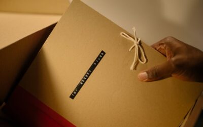 Police Searches at Peter Mandelson Properties Over Links to Epstein